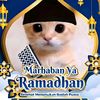 ahmad_zulfan_