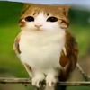 the_kitty59
