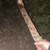jaydenontop1411
