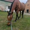 bunny_lover76