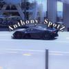 anthony_spotting.cars