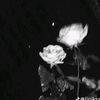 nurwhda1806