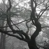 xyeglot_1.6