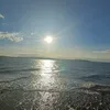 mitch54434