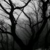 uknown_0737