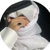 abdullaharezzo1