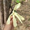 ma.htay618
