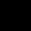 hastalktiktokorangye