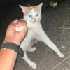 .aimul