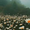 lovenature894