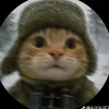 leonfomin6