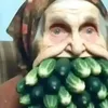 trgarchie