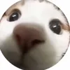 lee_4157