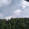 tareq.abdualgbar
