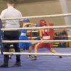 gabriele_box1
