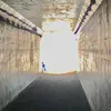 dipibsjpehofyt3