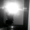 _vellii