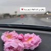 najla_sh11