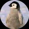 penguinp_on_cc