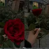 ysra.jan