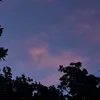 didi_5860