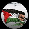 hammadsaeed261