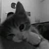 ngoc_ju_oi