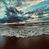 ally_kalgren_