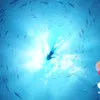 bbidau3