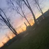 bob_fv