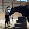 lena_horsegirl_of