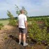 dzikkusek