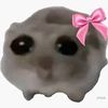 randomloafofbread6