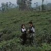 rangga93341