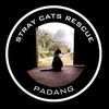 Stray cats Rescue padang2019