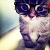 phi.phi._