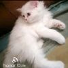 gogo.mohamed876