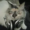 c00kie_4u