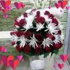 user7908330159132