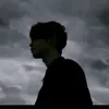 14_real.mdred