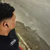 beelpecinha