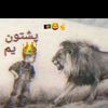 user22862457552338