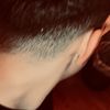 bieeel61