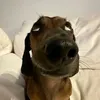 maria_barreto26