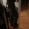 ktgarments19
