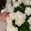 bouchrayoussra945