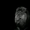 ineresting_life