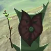 korok82