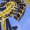 coasteralfie