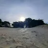 vanelainook